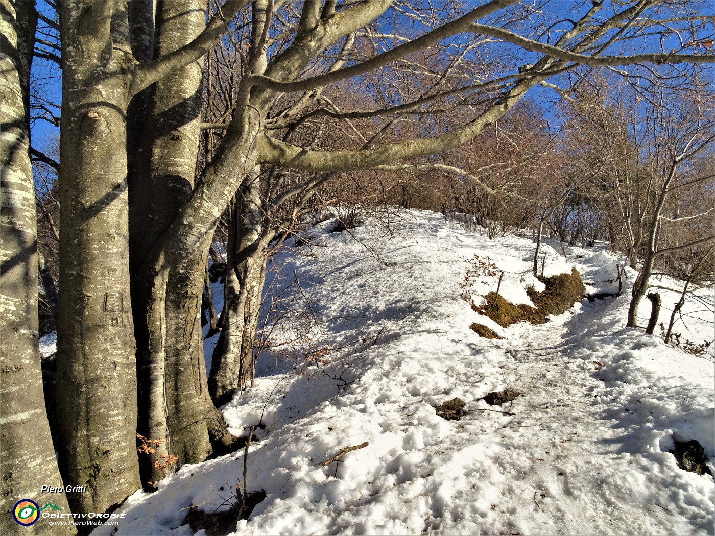 46 In decisa salita per il Monte Zucco.JPG